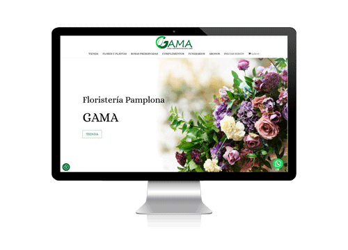 diseño web pamplona